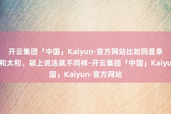 开云集团「中国」Kaiyun·官方网站比如同是阜阳市的市区和太和、颍上说法就不同样-开云集团「中国」Kaiyun·官方网站