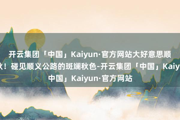 开云集团「中国」Kaiyun·官方网站大好意思顺义丨开往深秋！碰见顺义公路的斑斓秋色-开云集团「中国」Kaiyun·官方网站