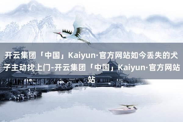 开云集团「中国」Kaiyun·官方网站如今丢失的犬子主动找上门-开云集团「中国」Kaiyun·官方网站