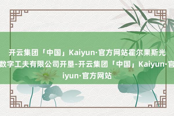 开云集团「中国」Kaiyun·官方网站霍尔果斯光辉期间数字工夫有限公司开垦-开云集团「中国」Kaiyun·官方网站